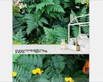 绿色植物3D立体背景墙壁画壁纸