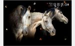 白色骏马现代简约壁画背景墙装饰