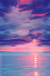 夕阳