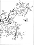 茶花线描 茶花白描 茶花素描