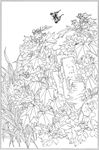芙蓉花线描 芙蓉花白描 芙蓉花