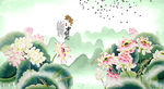 国画荷花