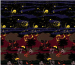 夜空