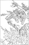 猫咪线描 猫咪白描 猫咪素描