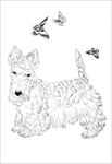 名犬线描 名犬白描 名犬素描