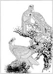 雄鹰线描 雄鹰白描 雄鹰素描
