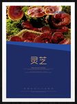 灵芝