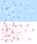 花瓣