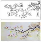 玉兰