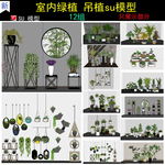 盆栽植物SU模型