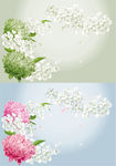 花瓣