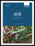 咸菜