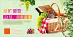 葡萄海报 葡萄上市 提子 红缇