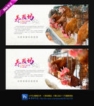 家禽