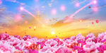 花海