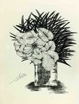 花绘插图