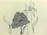 花绘插图