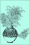 菊花线描 菊花白描 菊花素描
