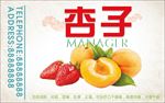 植物 长满 杏子 水果 新鲜杏