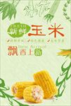 熟玉米 生玉米 玉米广告 玉米