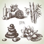 美容SPA矢量素描素材