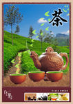 茶叶海报