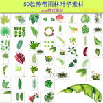 手绘水彩热带植物夏季叶子树叶芭