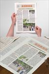 word报刊    企业报刊