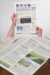 word报刊    企业报刊