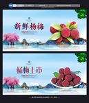 杨梅