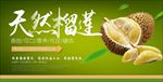 榴莲 榴莲海报 榴莲展架 泰国