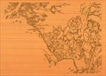 红军长征组图之互助