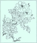 牡丹花线描 牡丹花白描 牡丹花