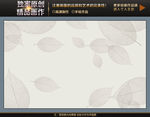 现代清新简约叶脉线条