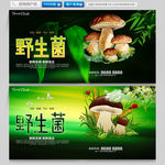野生菌