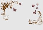 对角花 蝴蝶花 矢量图 硅藻泥