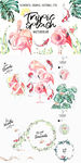手绘水彩植物花朵