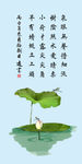 荷花画