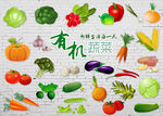 时尚手绘有机蔬菜背景墙