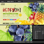 新鲜水果