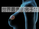 乳房   图片  海报  广告