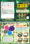 野外训练营传单
