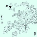 花鸟线描 花鸟白描 花鸟素描