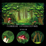 梦幻森林