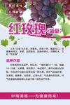 红玫瑰葡萄红葡萄品种详细介绍