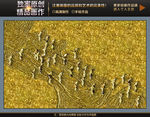 金色线条飞鸟