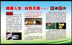 禁毒 毒品 宣传 绿色 展板