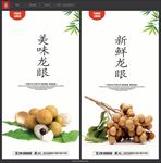 桂圆龙眼