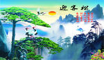 迎客松 迎客松图 迎客松画