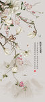 玉兰花